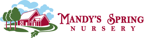 Mandy Spring Farm Nursery,
